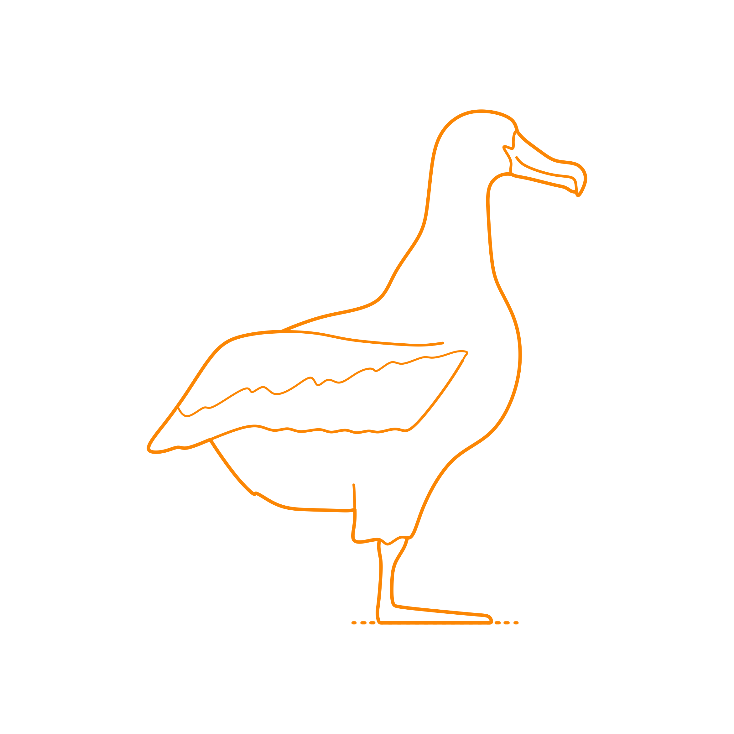 Animals Seabirds Wandering Albatross Sticker Svg Vector Free Vectors